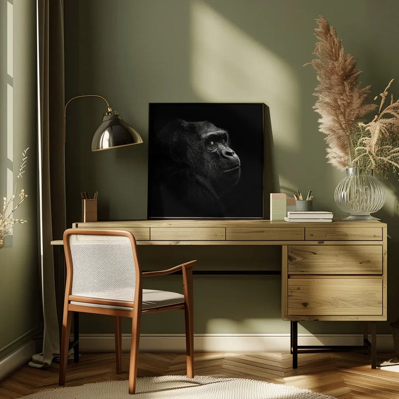 Gorilla by Christian Meermann Square Canvas Print Art for Modern Home Decor. Decorate your office or living room with canvas artwork