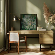 Summer Dandelion Square Canvas Art  Bethany Young 