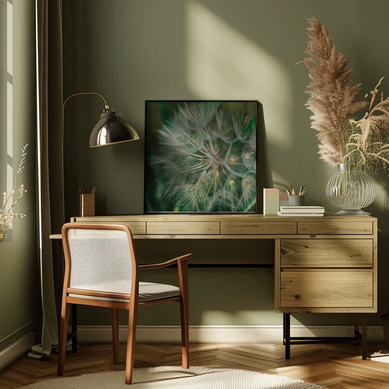 Summer Dandelion Square Canvas Art  Bethany Young 