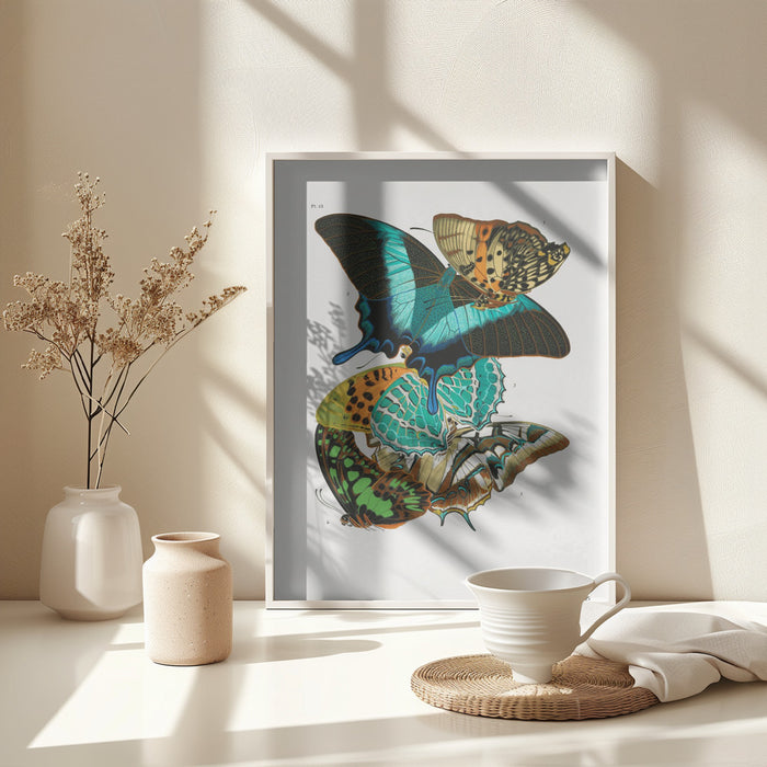 Butterflies 5 Framed Art Modern Wall Decor