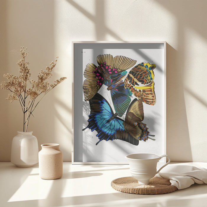 Butterflies 4 Framed Art Modern Wall Decor