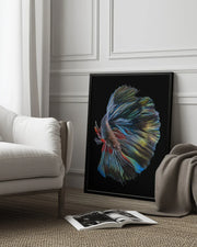 The  Betta Fish Framed Art Andi Halil | Home or Office Art