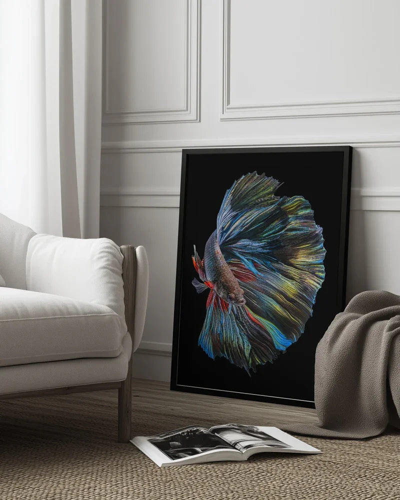The  Betta Fish Framed Art Andi Halil | Home or Office Art