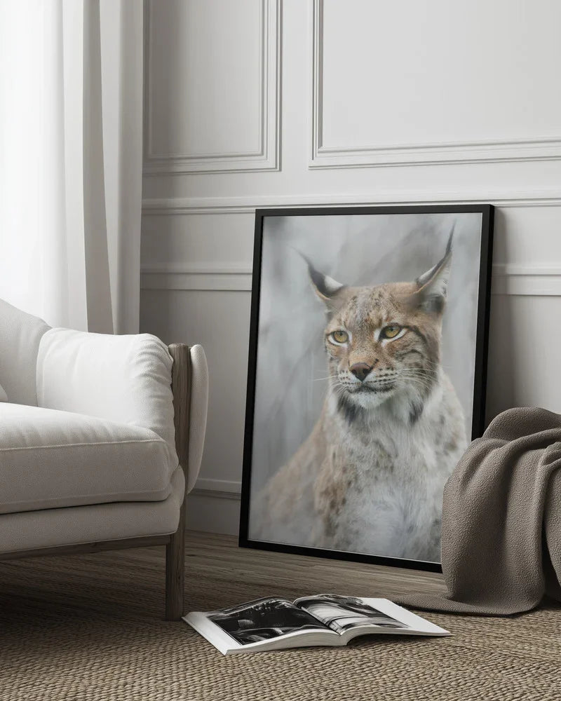 Lynx portrait in the fog Framed Art Santiago Pascual Buye | Home or Office Art