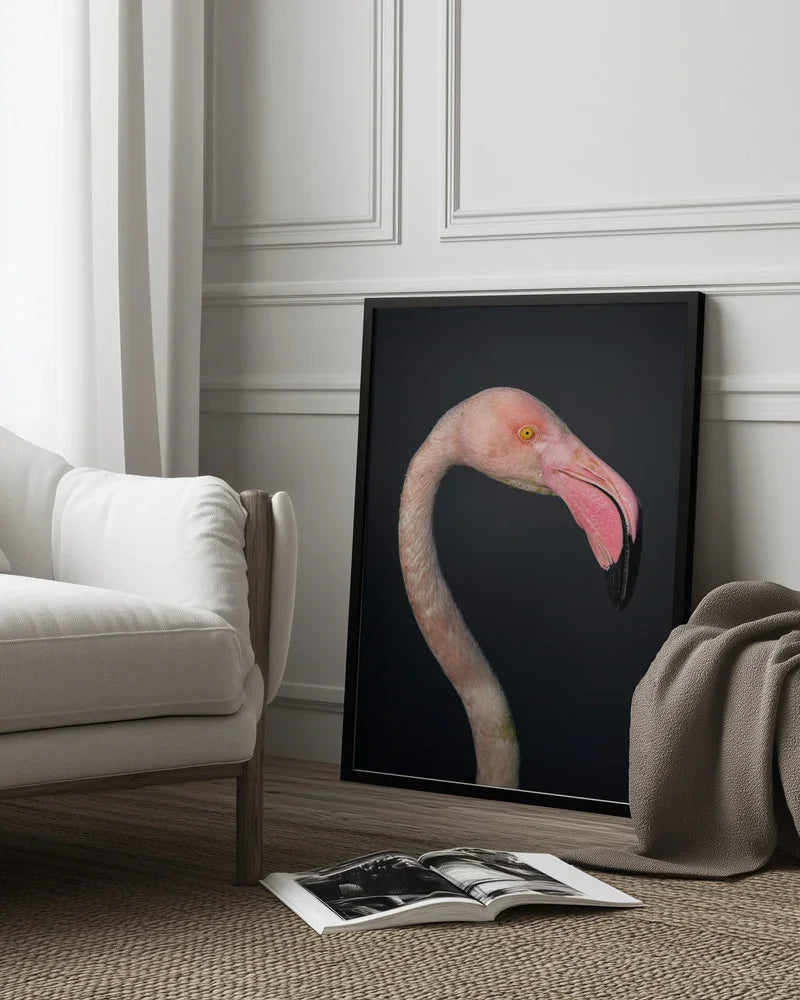 F L A M B O Y A N C E Framed Art fegari | Home or Office Art