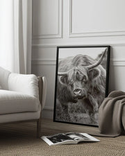 The Bull Framed Art Jacky Parker | Home or Office Art