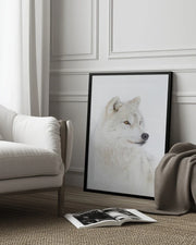 Portrait of an Arctic Wolf Framed Art Jim Cumming | Home or Office Art