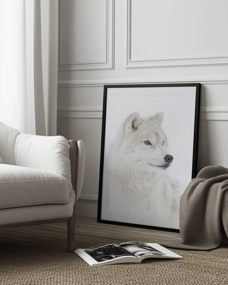 Portrait of an Arctic Wolf Framed Art Jim Cumming | Home or Office Art