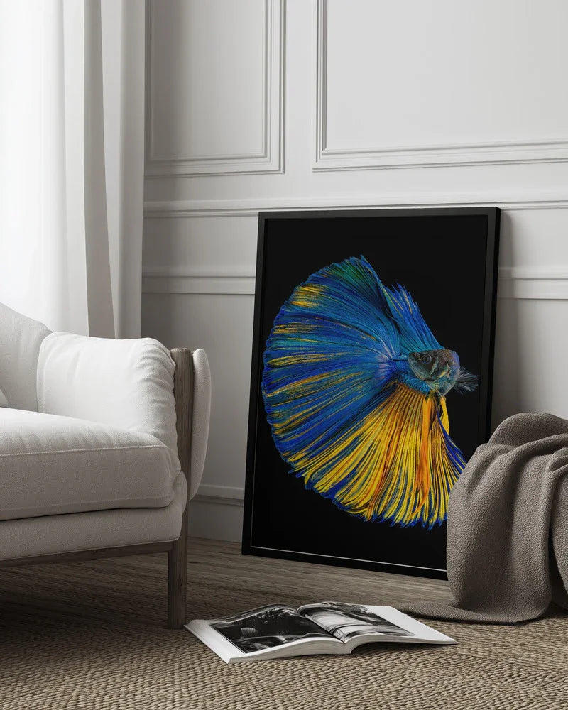 Yellow &amp; Blue Framed Art Andi Halil | Home or Office Art
