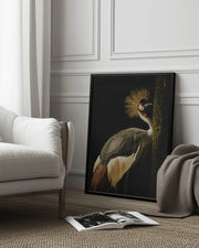 Grey Crowned Crane Framed Art Jealousy | Home or Office Art