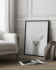 Llama Framed Art Pictufy Studio II | Home or Office Art