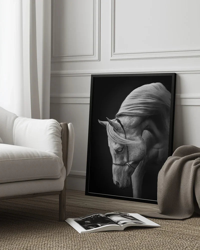 white stallion Framed Art Ulrike Leinemann | Home or Office Art