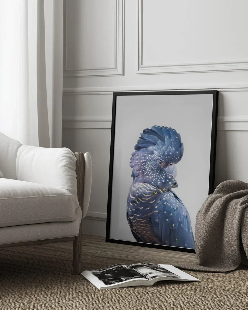 Black Cockatoo Framed Art Kathrin Pienaar | Home or Office Art