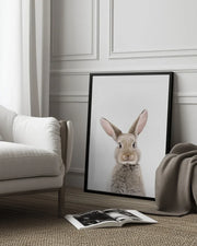 Baby Rabbit Framed Art Kathrin Pienaar | Home or Office Art