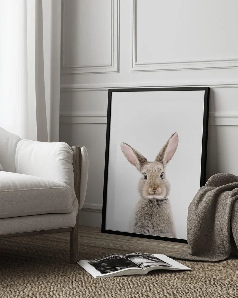 Baby Rabbit Framed Art Kathrin Pienaar | Home or Office Art