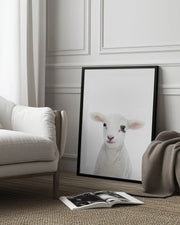 Baby Lamb Framed Art Kathrin Pienaar | Home or Office Art