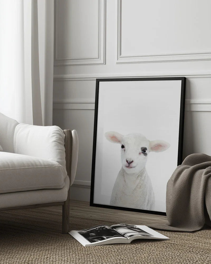 Baby Lamb Framed Art Kathrin Pienaar | Home or Office Art