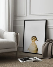 Baby Duck Framed Art Kathrin Pienaar | Home or Office Art