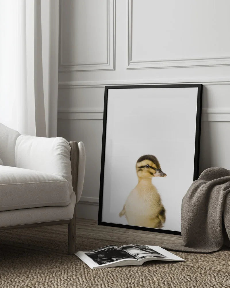 Baby Duck Framed Art Kathrin Pienaar | Home or Office Art