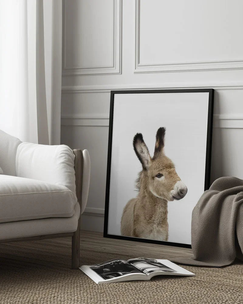 Baby Donkey Framed Art Kathrin Pienaar | Home or Office Art