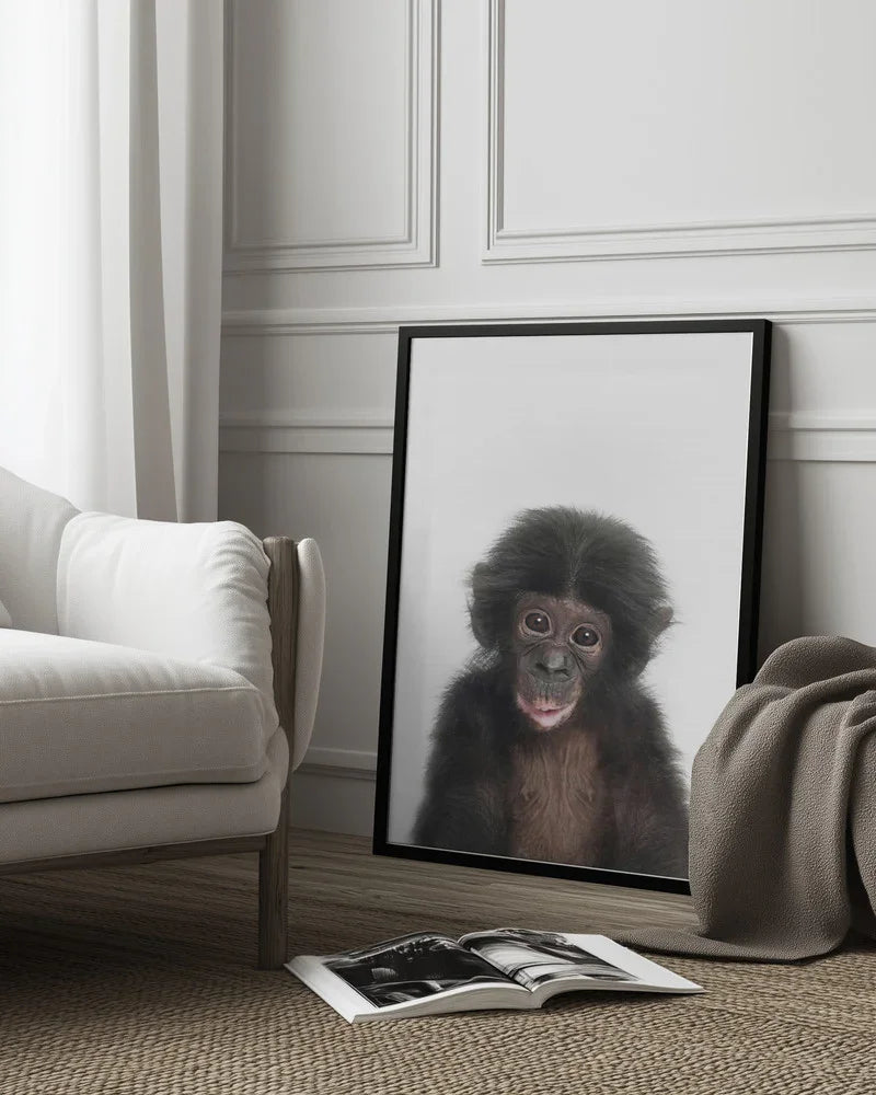 Baby Monkey Framed Art Kathrin Pienaar | Home or Office Art