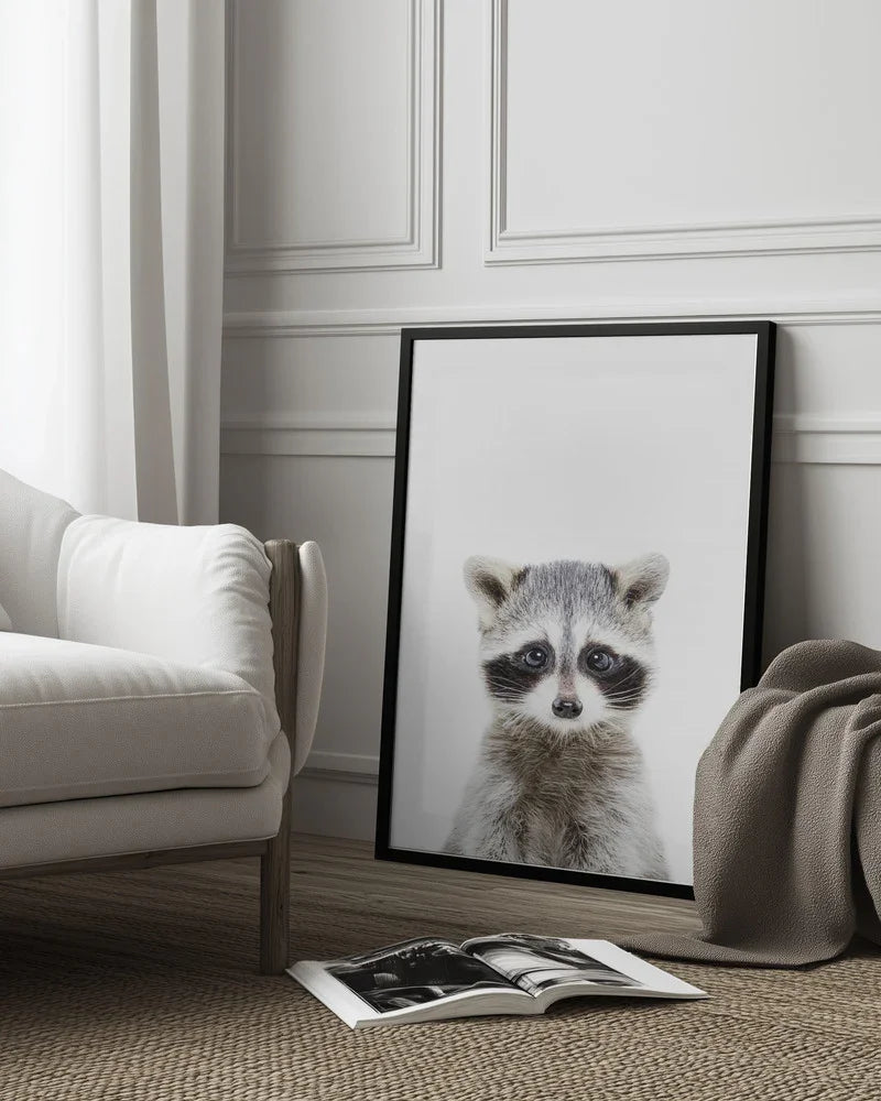 Baby Racoon Framed Art Kathrin Pienaar | Home or Office Art