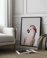 Pink Cockatoo Framed Art Kathrin Pienaar | Home or Office Art