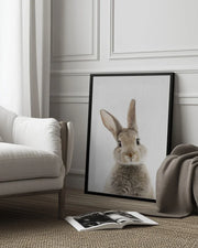 Peekaboo Bunny Framed Art Lola Peacock | Home or Office Art