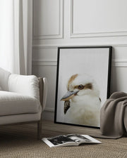 Peekaboo Kookaburra Framed Art Lola Peacock | Home or Office Art