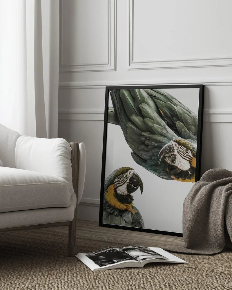 Amazonia Framed Art Shot by Clint | Home or Office Art
