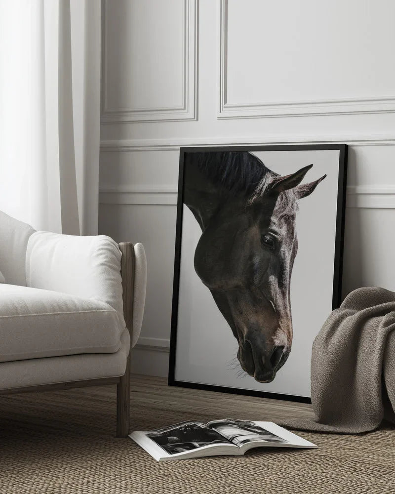 Bingo Framed Art Shot by Clint | Home or Office Art