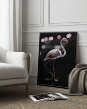 Dancing Flamingo Framed Art Shot by Clint | Home or Office Art