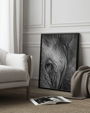 Elephant Study Framed Art Shot by Clint | Home or Office Art