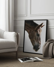 Kalimazoo Framed Art Shot by Clint | Home or Office Art