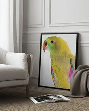 Polly Framed Art Shot by Clint | Home or Office Art