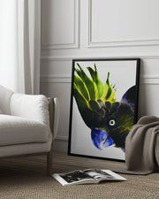 Punk Rocker Framed Art Shot by Clint | Home or Office Art