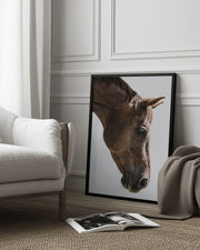 Russian Framed Art Shot by Clint | Home or Office Art