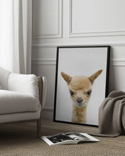 Peekaboo Baby Llama Framed Art Lola Peacock | Home or Office Art