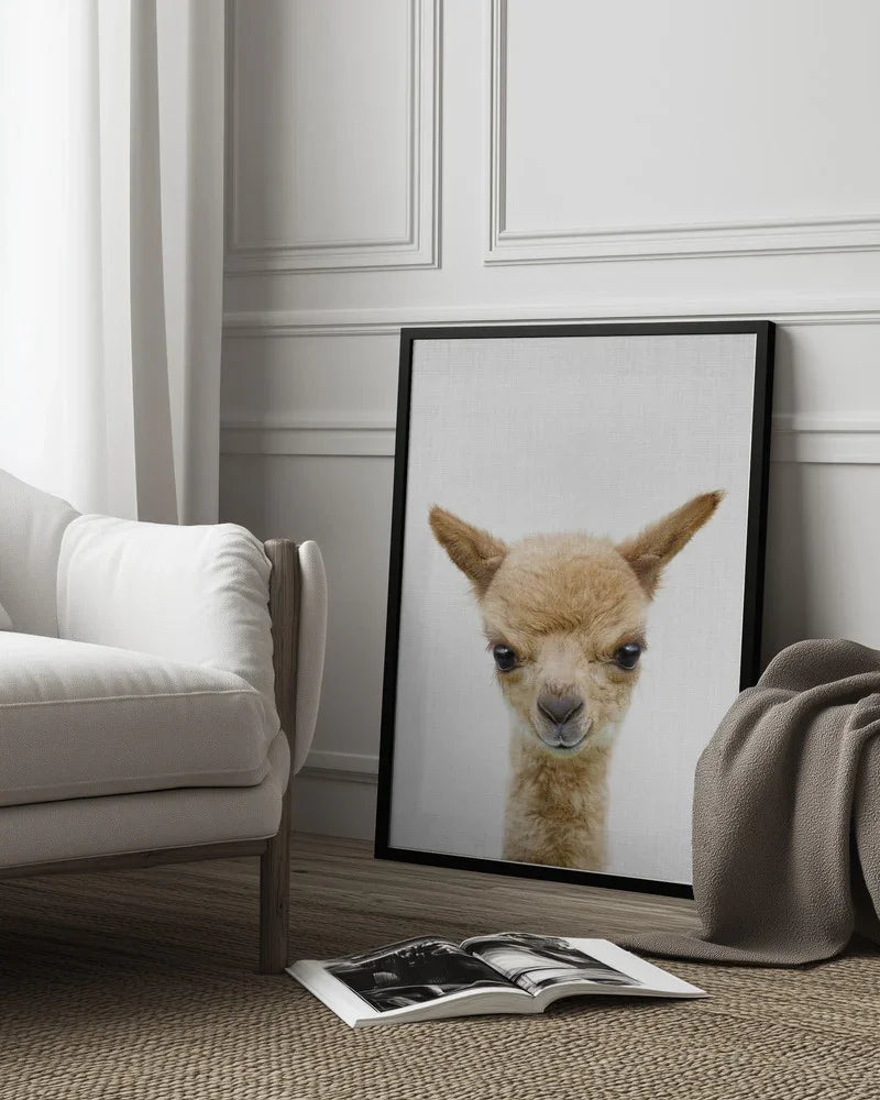 Peekaboo Baby Llama Framed Art Lola Peacock | Home or Office Art