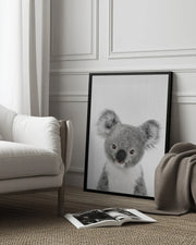 Peekaboo Baby Koala Framed Art Lola Peacock | Home or Office Art