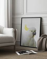 Peekaboo Cockatoo Framed Art Lola Peacock | Home or Office Art