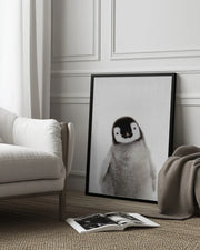 Peekaboo Baby Penguin Framed Art Lola Peacock | Home or Office Art