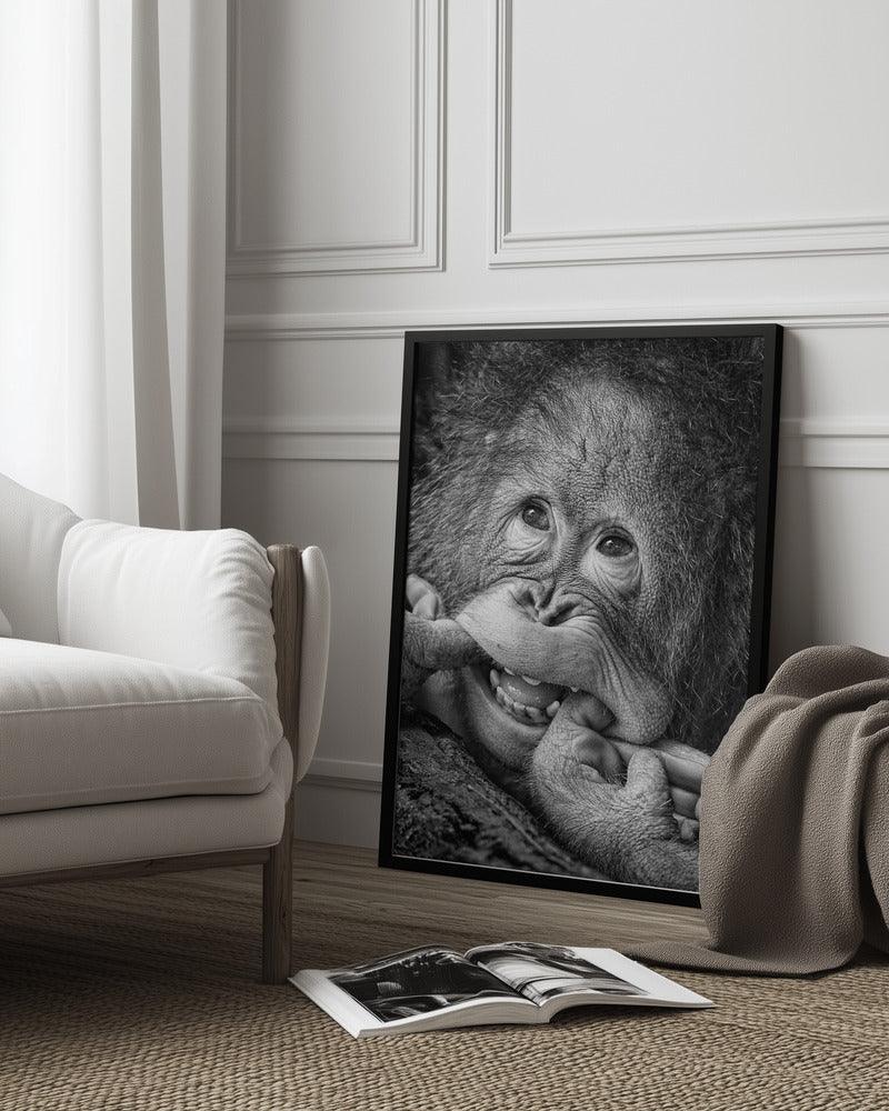 Big Smile.....please Framed Art Angela Muliani Hartojo | Home or Office Art