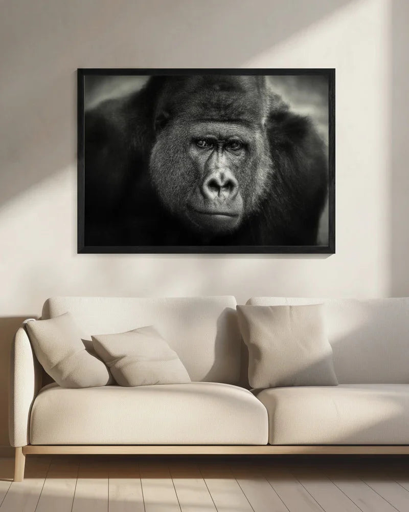 LITTLE SMILE .... Framed Art Antje WennerFramed ArtBraun | Home or Office Art