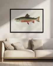 Male Brook Trout - Sherman F. Denton Framed Art | Home or Office Art