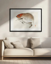 Tai (red Seabream) Fish - Kono Bairei Framed Art | Home or Office Art