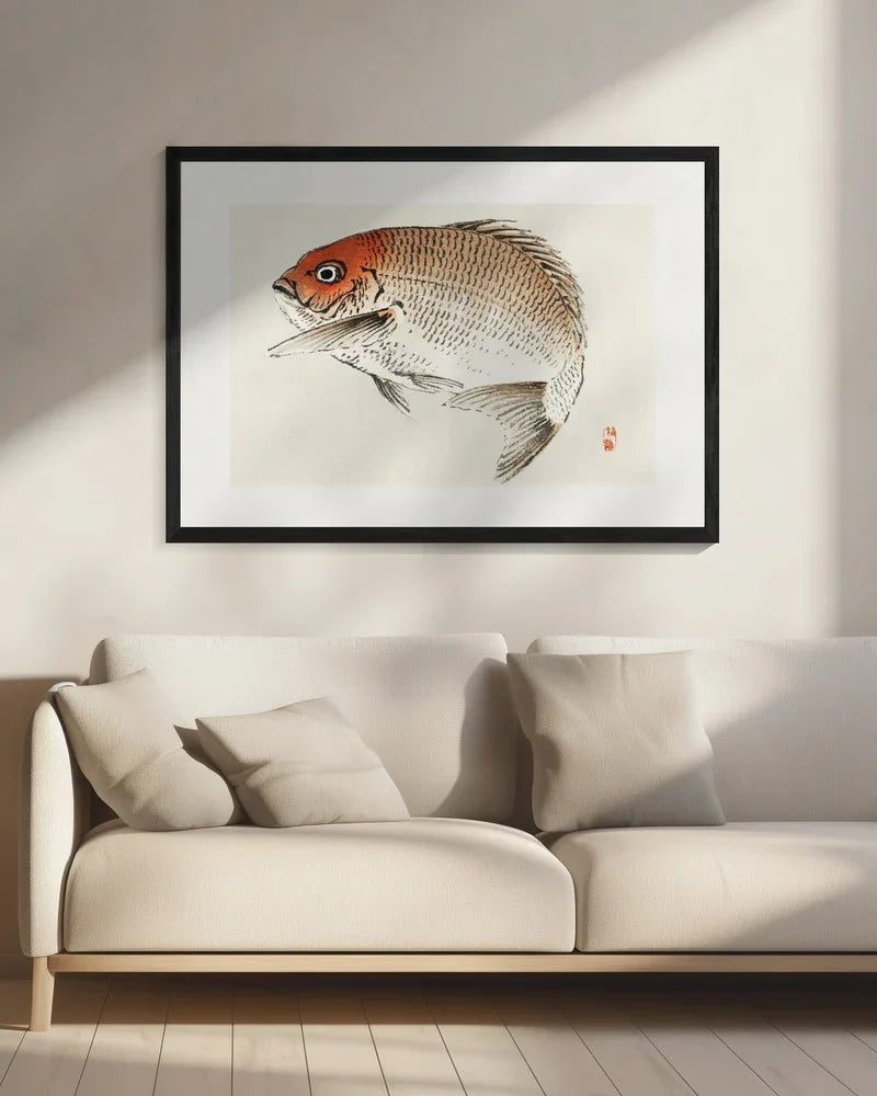 Tai (red Seabream) Fish - Kono Bairei Framed Art | Home or Office Art