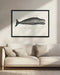 Whale Ii Antique Handcolored Sealife Lithograph 1824 - Vintage Poster Framed Art | Home or Office Art