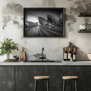 In Silhouette - Tim Fan Framed Art | Home or Office Art