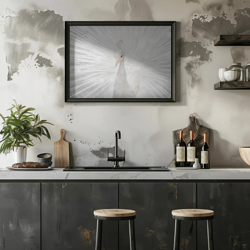 Splendid Whitie Framed Art fegari | Home or Office Art